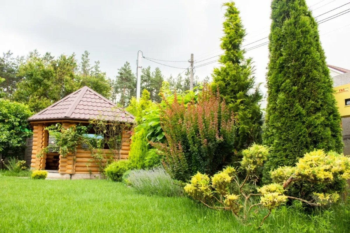 https://magnitogorsk.tgv-stroy.ru/storage/app/uploads/public/637/ef4/fb3/637ef4fb3605f391429275.png